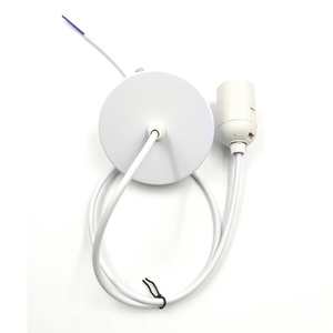 Portalampada di sale dell'Himalaya Portalampada Lampadario Portalampada Filo spina E27 E14 Portalampada
