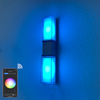 Lampada da parete di controllo APP Tuya da 9W lampada da parete a led per controllo app app luce di controllo app Lampada da parete cintura dorata Lampada da parete intelligente illuminazione esterna