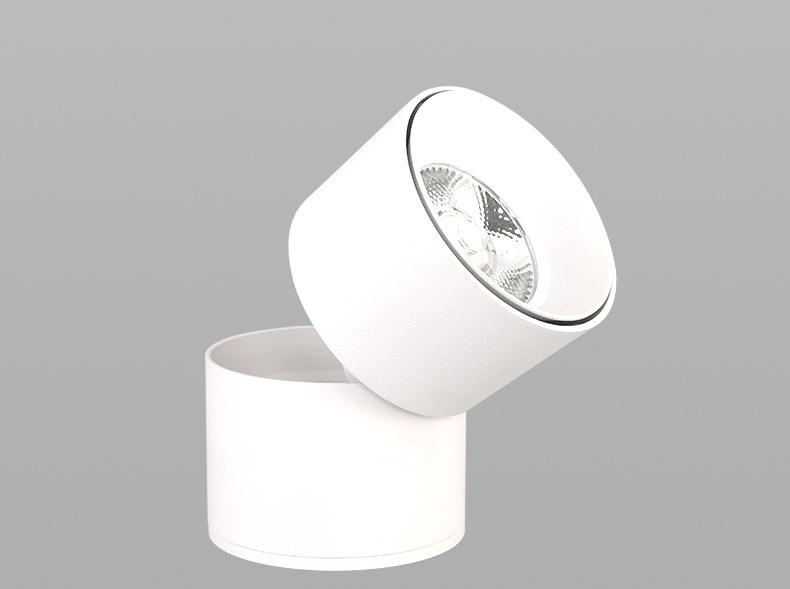 Lampade da parete Led Lineari Luce su e giù Corpo luminoso Lampada Articolo Illuminazione Stile Ufficio moderno Rohs Materiale Epistar Flusso in ingresso