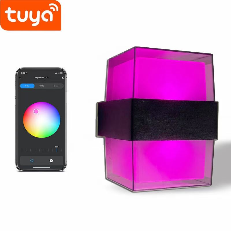 Tuya Smart WiFi LED Controllo APP Lampada da parete Portico esterno Luce da giardino Impermeabile Sconce Light RGBW 9W Dimmerabile Lavora con Alexa e Google Home