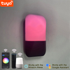 9W Tuya APP Lampada da parete di controllo Led Light App Control App Control Light App Controlled Led Lights Lampada da parete a fagiolo arcobaleno Lampada da parete intelligente