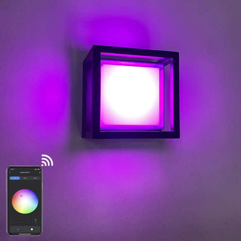 Smart IP65 luce esterna impermeabile APP Lampada da giardino in plastica controllata impermeabile moderna applique da parete a LED montata a parete