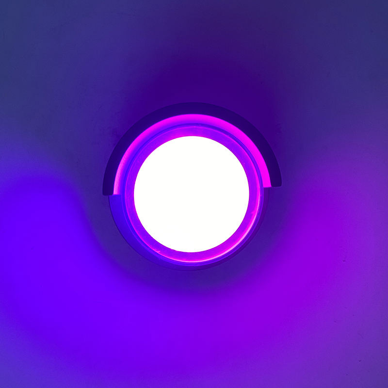 5W Moderna Guscio Trasparente Impermeabile Lampada Da Parete A Led Da Giardino Decorazione Esterna Illuminazione Frontale Riparo Atmosfera Di Colore Brillante