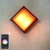 Stile minimalista Tuya Smart WiFi Lampada da parete a LED 10W RGBW Outdoor Indoor APP Applique da giardino impermeabile dimmerabile