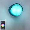 2023 Tuya APP Applique da esterno di alta qualità Wifi Lampada da parete impermeabile che cambia colore tramite Smart App Lamp