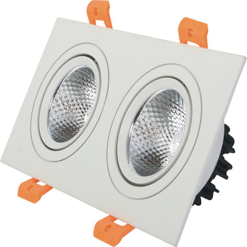 Le doppie teste hanno condotto il downlight 10W 14W 20W 24W Downlight incastonato della luce del punto del soffitto del LED del downlight LED