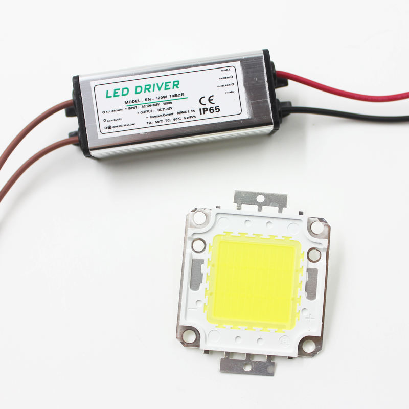 Real Full Watt 10W 20W 30W 50W 100w High Power COB LED chip lampadina con driver LED per proiettore fai da te Spot light Prato