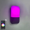 9W Tuya APP Lampada da parete di controllo Led Light App Control App Control Light App Controlled Led Lights Lampada da parete a fagiolo arcobaleno Lampada da parete intelligente