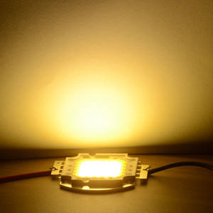 Real Full Watt 10W 20W 30W 50W 100w High Power COB LED chip lampadina con driver LED per faretto fai da te Spot light Prato