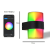 Tuya Smart App Control Waterproof IP 65 LED Wandlamp lampada da parete per esterni impermeabile colorata moderna luce per esterni