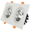 Le doppie teste hanno condotto il downlight 10W 14W 20W 24W Downlight incastonato della luce del punto del soffitto del LED del downlight LED