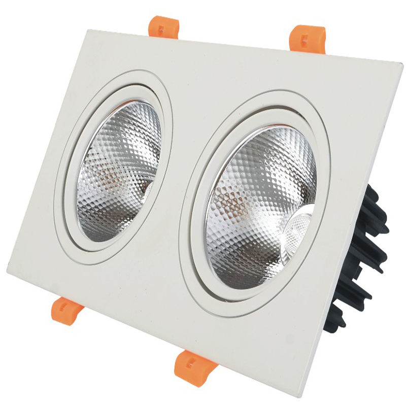 Le doppie teste hanno condotto il downlight 10W 14W 20W 24W Downlight incastonato della luce del punto del soffitto del LED del downlight LED
