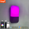9W Tuya APP Lampada da parete di controllo Led Light App Control App Control Light App Controlled Led Lights Lampada da parete a fagiolo arcobaleno Lampada da parete intelligente