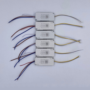 Driver LED a 2 vie 48-160 W 2,4 g Driver per lampada Driver per illuminazione a LED a tre temperature di colore Trasformatori per illuminazione a LED per driver 2.4G sicuri di alta qualità Alimentatore per driver LED
