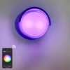 Shell trasparente rotondo 9W APP che illumina la lampada da parete impermeabile acrilica per la decorazione del giardino con illuminazione della stanza del prezzo di fabbrica