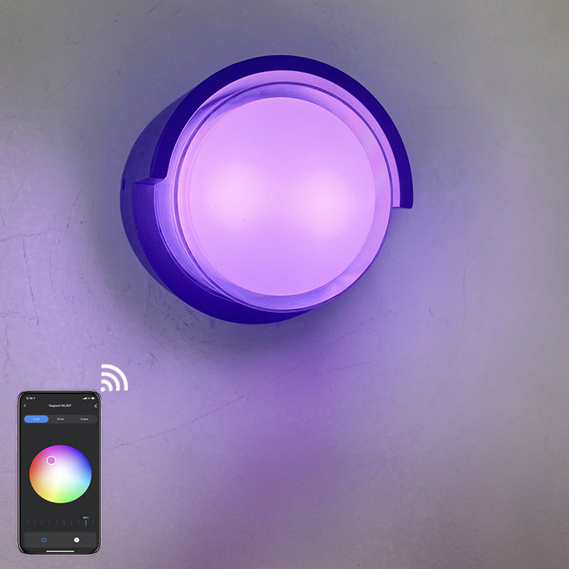 Shell trasparente rotondo 9W APP che illumina la lampada da parete impermeabile acrilica per la decorazione del giardino con illuminazione della stanza del prezzo di fabbrica