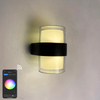 10W Tuya Smart Lamp Night Light Lampada da parete in acrilico Smart APP Remote Luci a Led Decorazione della stanza Fotografia Regalo di compleanno