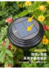 Luce solare da giardino Lampada ad energia solare Illuminazione paesaggistica Impermeabile IP65 Percorso Cortile Decorazione prato LED per esterni
