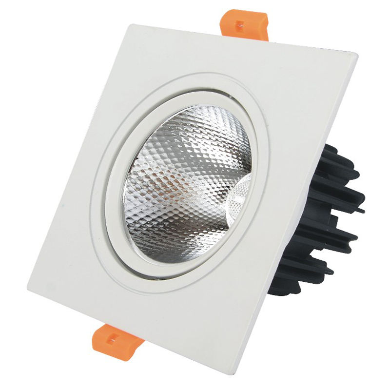 Le doppie teste hanno condotto il downlight 10W 14W 20W 24W Downlight incastonato della luce del punto del soffitto del LED del downlight LED