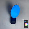 9W lampada da parete intelligente lampade intelligenti controllo app luce led controllo app luce app illuminazione controllata app Tuya app lampada da parete per esterni lampada da parete con telecomando per telefono cellulare