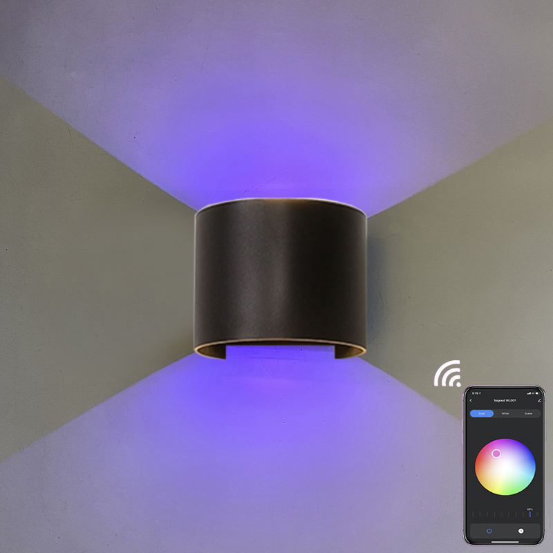 9W RGB TUYA APP controllo LED Applique da parete Impermeabile IP65 Portico Giardino su e giù Lampada da parete Lampada da parete impermeabile semicircolare