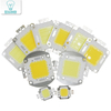 Super 10W 20W 30W 50W 100W LED integrato Lampadina LED ad alta potenza Bianco / bianco caldo EPISTAR COB Chip lampade a led