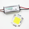 Real Full Watt 10W 20W 30W 50W 100w High Power COB LED chip lampadina con driver LED per proiettore fai da te Spot light Prato