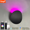 Lampada da parete 9W lampada intelligente lampada da parete per esterni a led applique Tuya controllo app lampada da parete per esterni impermeabile luce regolabile colore regolabile
