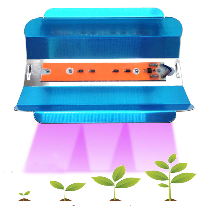 Proiettore lineare senza guida COB proiettore a prova di esplosione a prova di esplosione faretto a prova di esplosione per esterni a spettro completo 20W 30W 50W