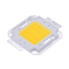 Real Full Watt 10W 20W 30W 50W 100w High Power COB LED chip lampadina con driver LED per faretto fai da te Spot light Prato