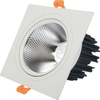 Le doppie teste hanno condotto il downlight 10W 14W 20W 24W Downlight incastonato della luce del punto del soffitto del LED del downlight LED