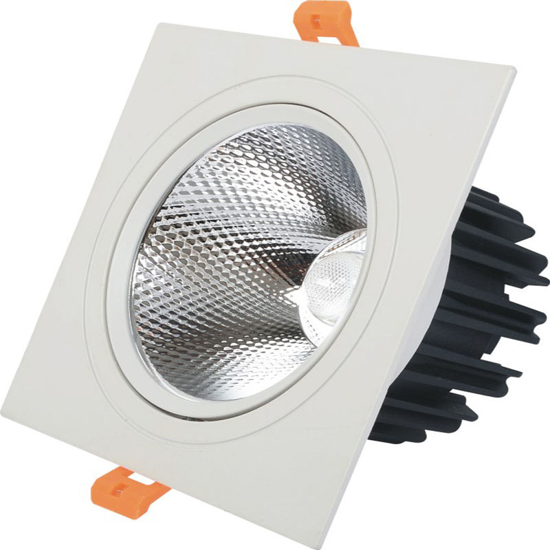 Le doppie teste hanno condotto il downlight 10W 14W 20W 24W Downlight incastonato della luce del punto del soffitto del LED del downlight LED