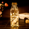 La fabbrica vende direttamente lampade a ghirlanda a led per la decorazione domestica