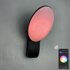 9W lampada da parete intelligente lampade intelligenti controllo app luce led controllo app luce app illuminazione controllata app Tuya app lampada da parete per esterni lampada da parete con telecomando per telefono cellulare