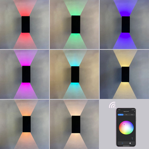 La più recente lampada da parete Tuya 9W Light App Control Illuminazione esterna intelligente Applique da parete in acrilico con lampade da parete intelligenti a LED Sconce