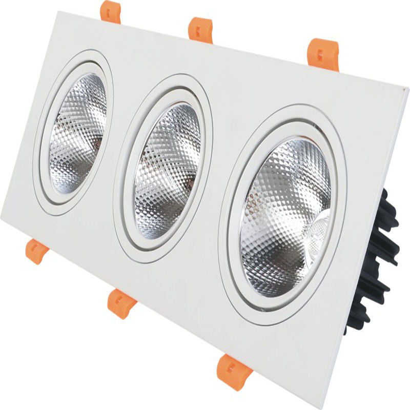 Le doppie teste hanno condotto il downlight 10W 14W 20W 24W Downlight incastonato della luce del punto del soffitto del LED del downlight LED