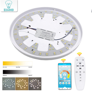 Superficie della sorgente luminosa sostitutiva Smart 2.4G per il soffitto del lampadario a soffitto con telecomando
