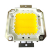 Real Full Watt 10W 20W 30W 50W 100w High Power COB LED chip lampadina con driver LED per faretto fai da te Spot light Prato