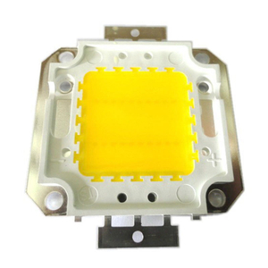Real Full Watt 10W 20W 30W 50W 100w High Power COB LED chip lampadina con driver LED per faretto fai da te Spot light Prato