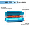 Le luci progressive a LED 20W 30W 50W 80W UV LED coltivano la luce a spettro completo AC110V / 220V / DC12V per la coltivazione indoor
